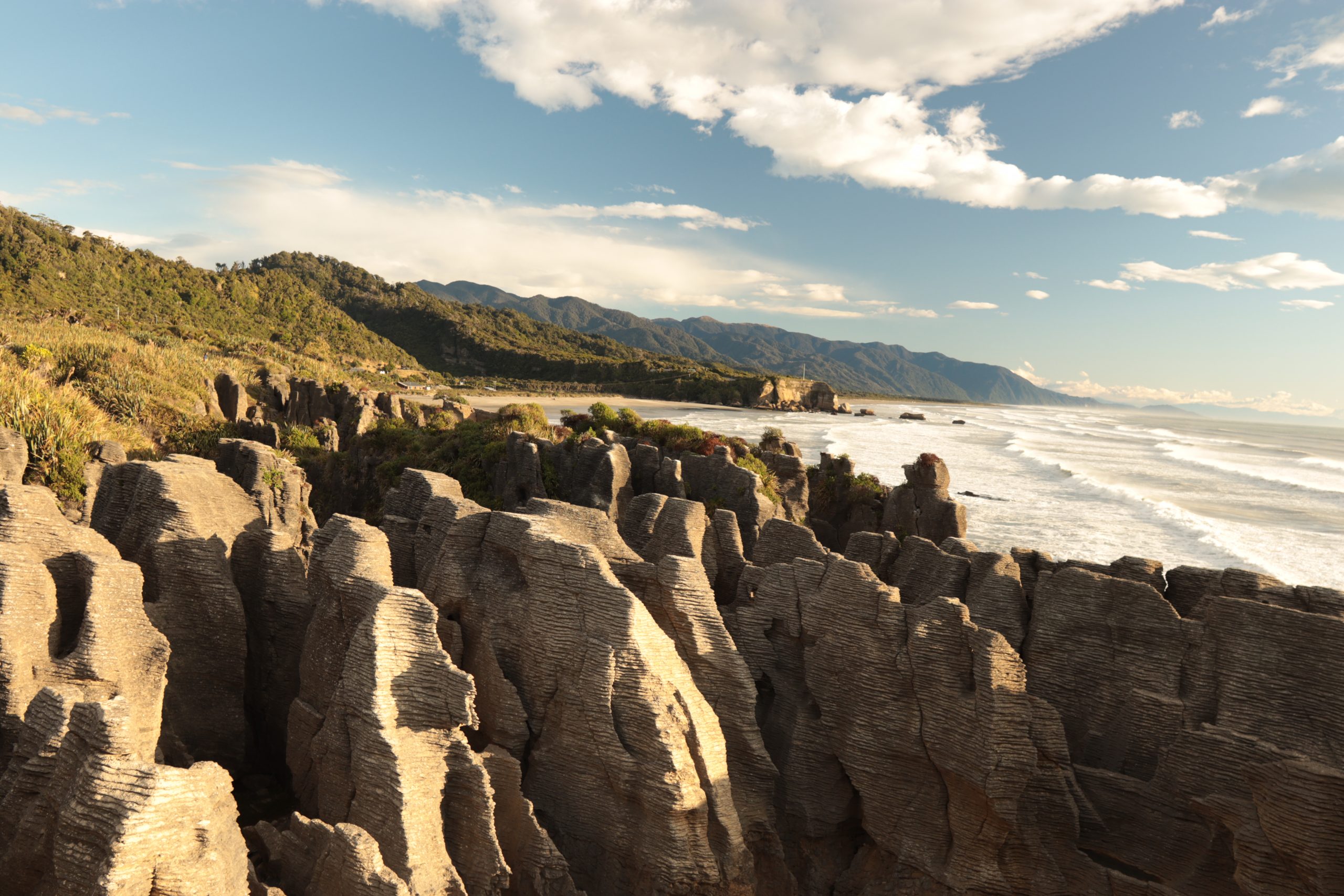 Panckae Rocks an der Westküste von Neuseelands Südinsel in der Abendsonne