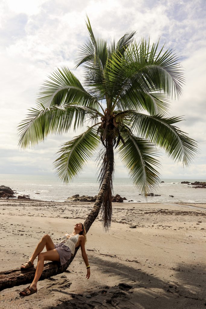 Palme am Strand von Montezuma in Costa Rica