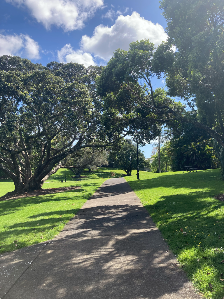 Potters Park im Stadtteil Mount Eden in Auckland, Neuseeland