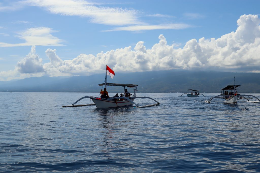Delfintour in Lovina auf Bali
