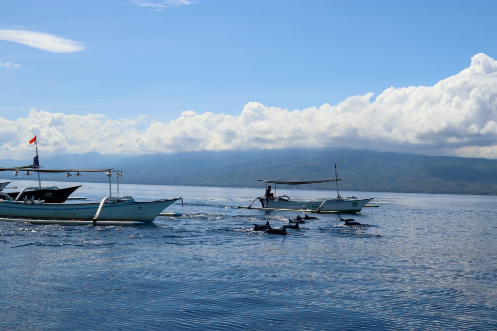 Delfintour in Lovina auf Bali