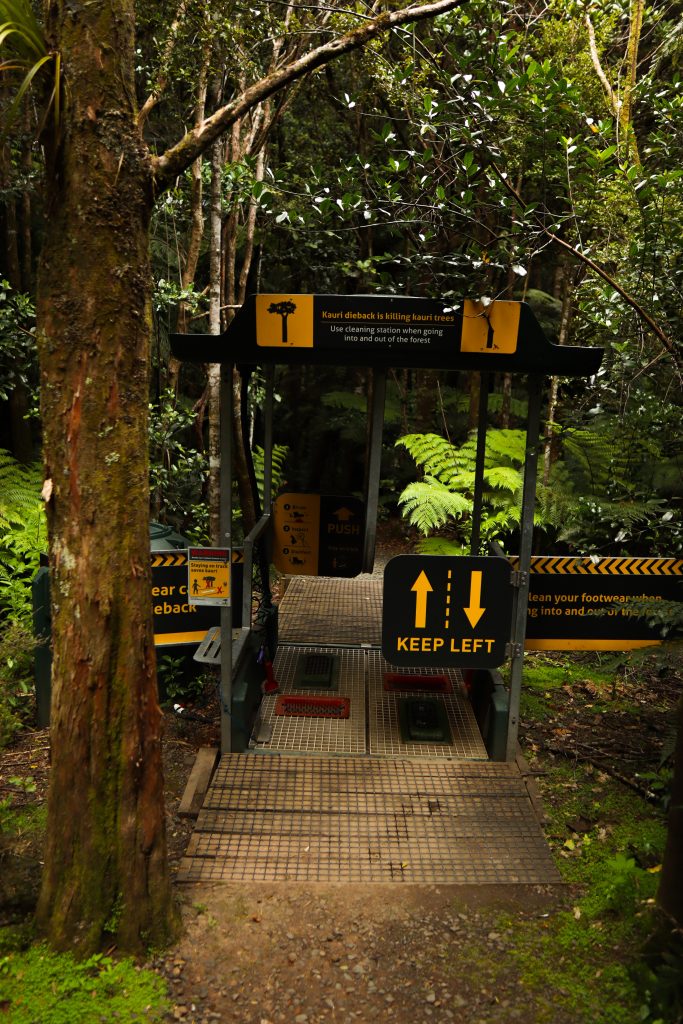 Cleaning Station vor dem Eingang zum Waipoua Kauri Forest