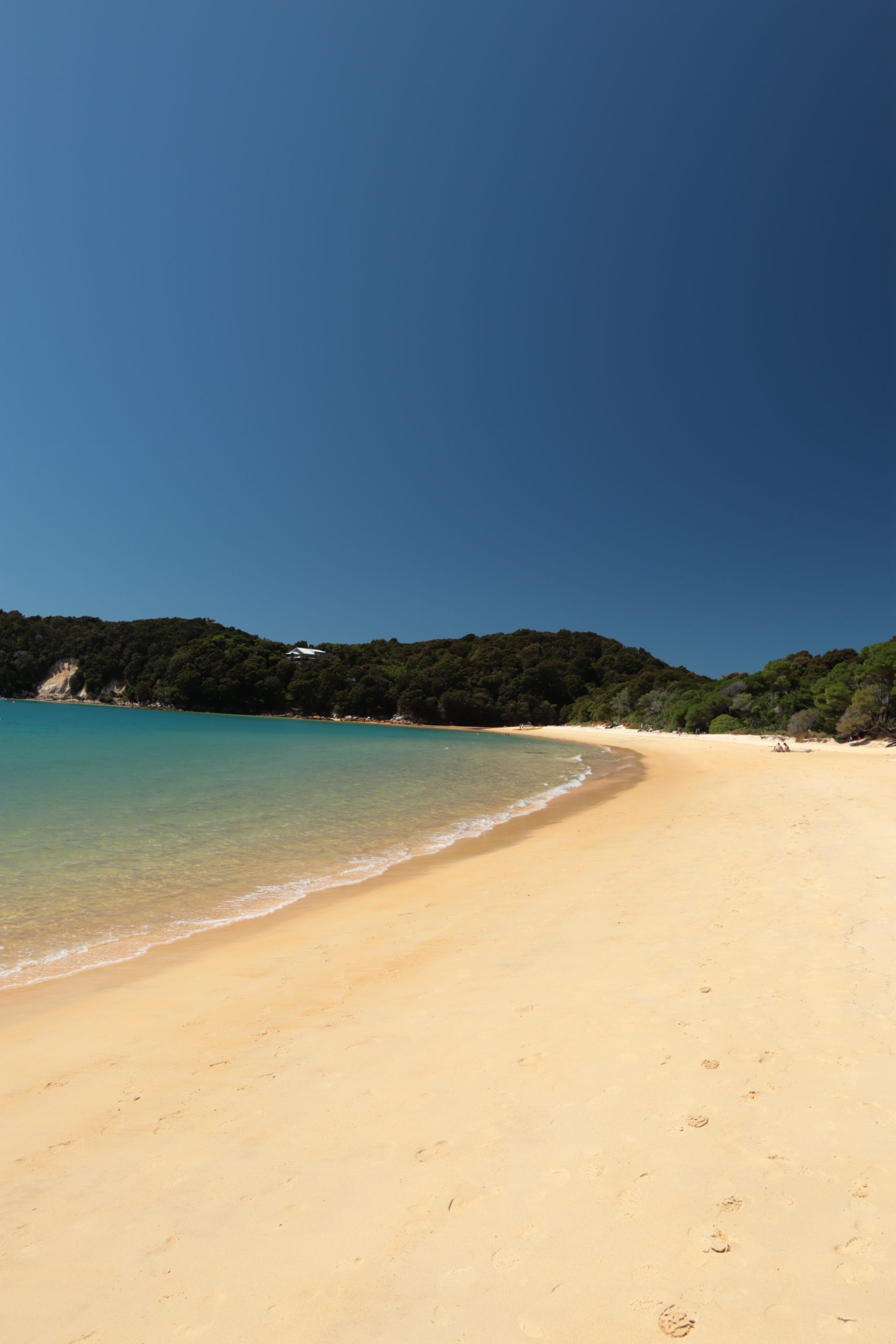 Strand im Abel Tasman Nationalpark auf der Südinsel von Neuseeland